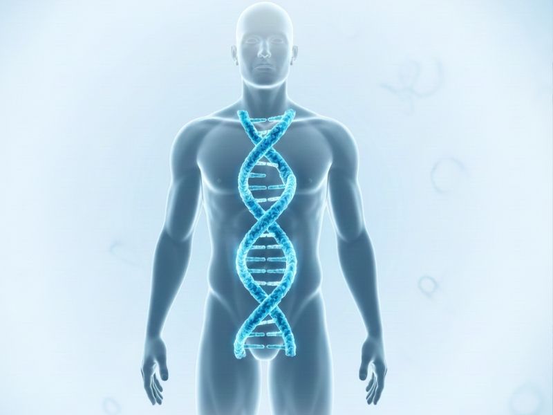 sperm-dna-hasari-hangi-durumlarda-daha-sik-gorulur
