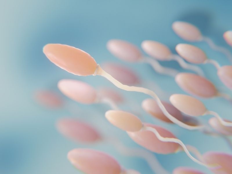 sperm-test