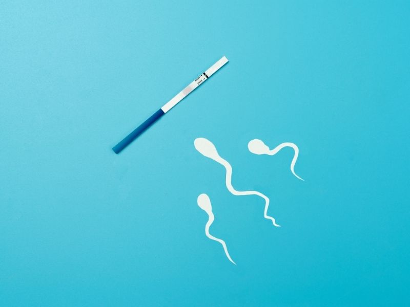 what-is-a-sperm-test-spermiogram-and-how-is-it-performed