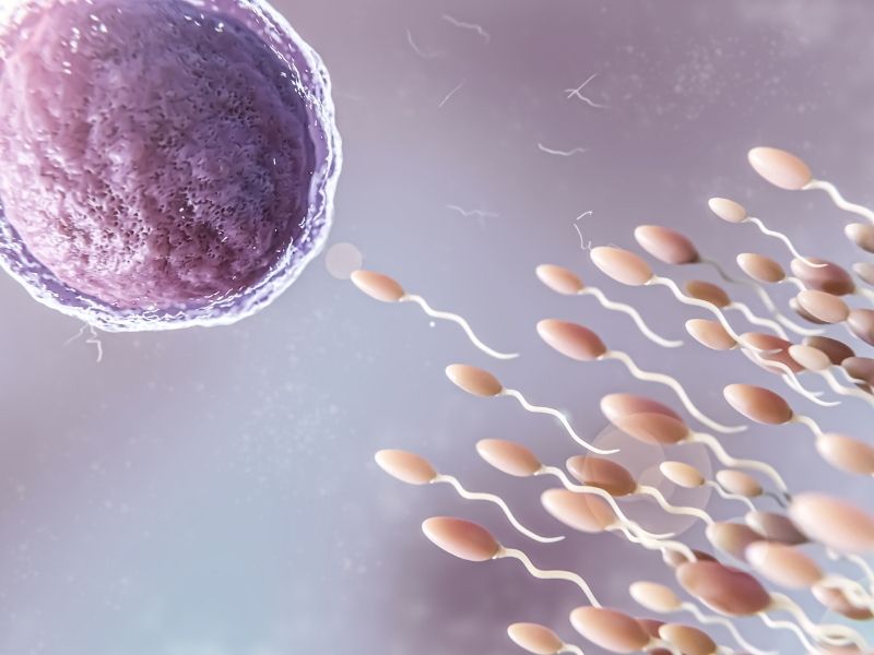 what-is-ivf-treatment