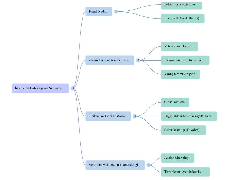 idrar-yolu-enfeksiyonu-neden-olur