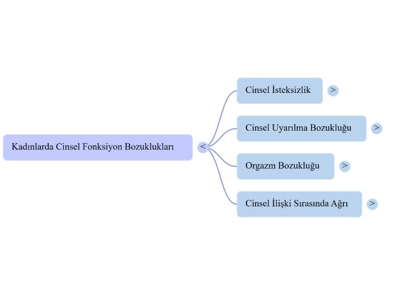 каковы виды нарушения сексуальной функции у женщин