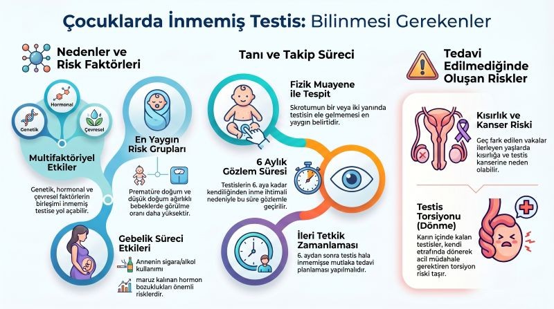inmemis-testis-nedenleri-nelerdir